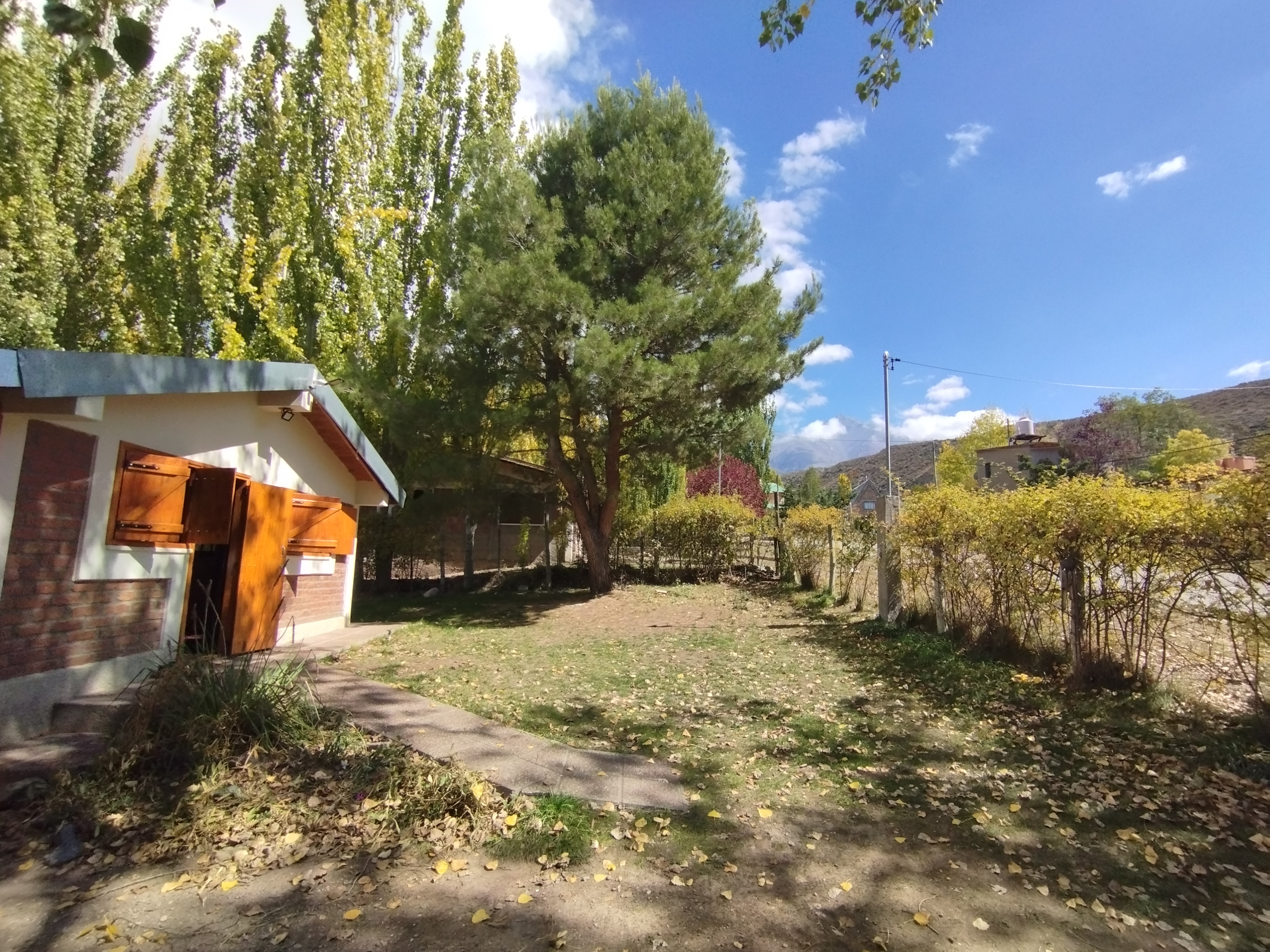 Jardín y áreas verdes